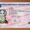 belgium drivers license template