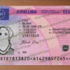 estonia drivers license template