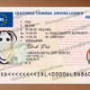 fake irish driver license