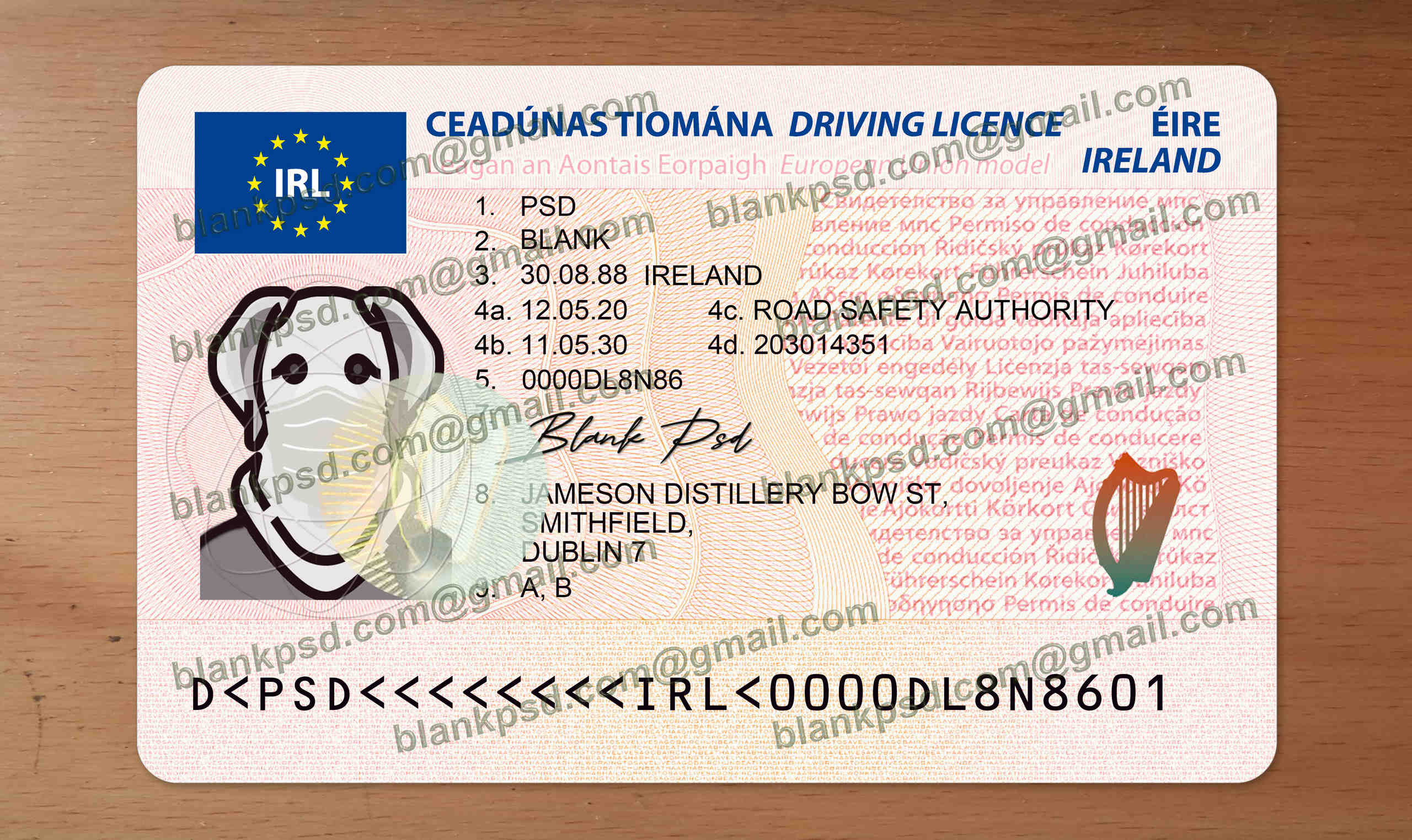 fake irish driver license