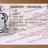 norway drivers license template