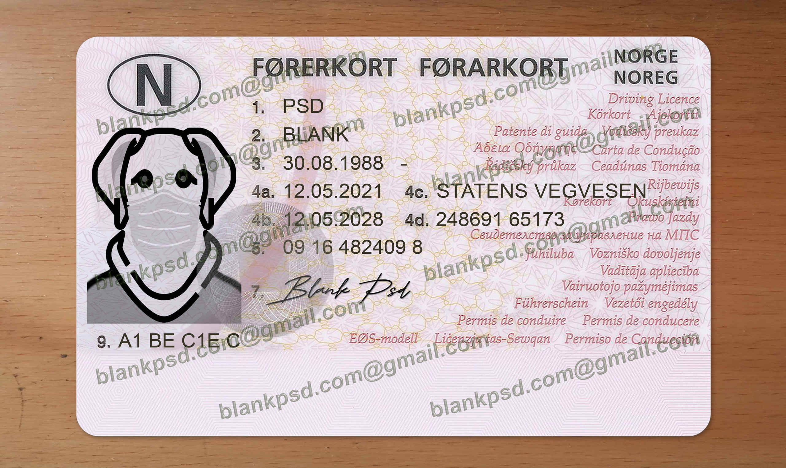 norway drivers license template