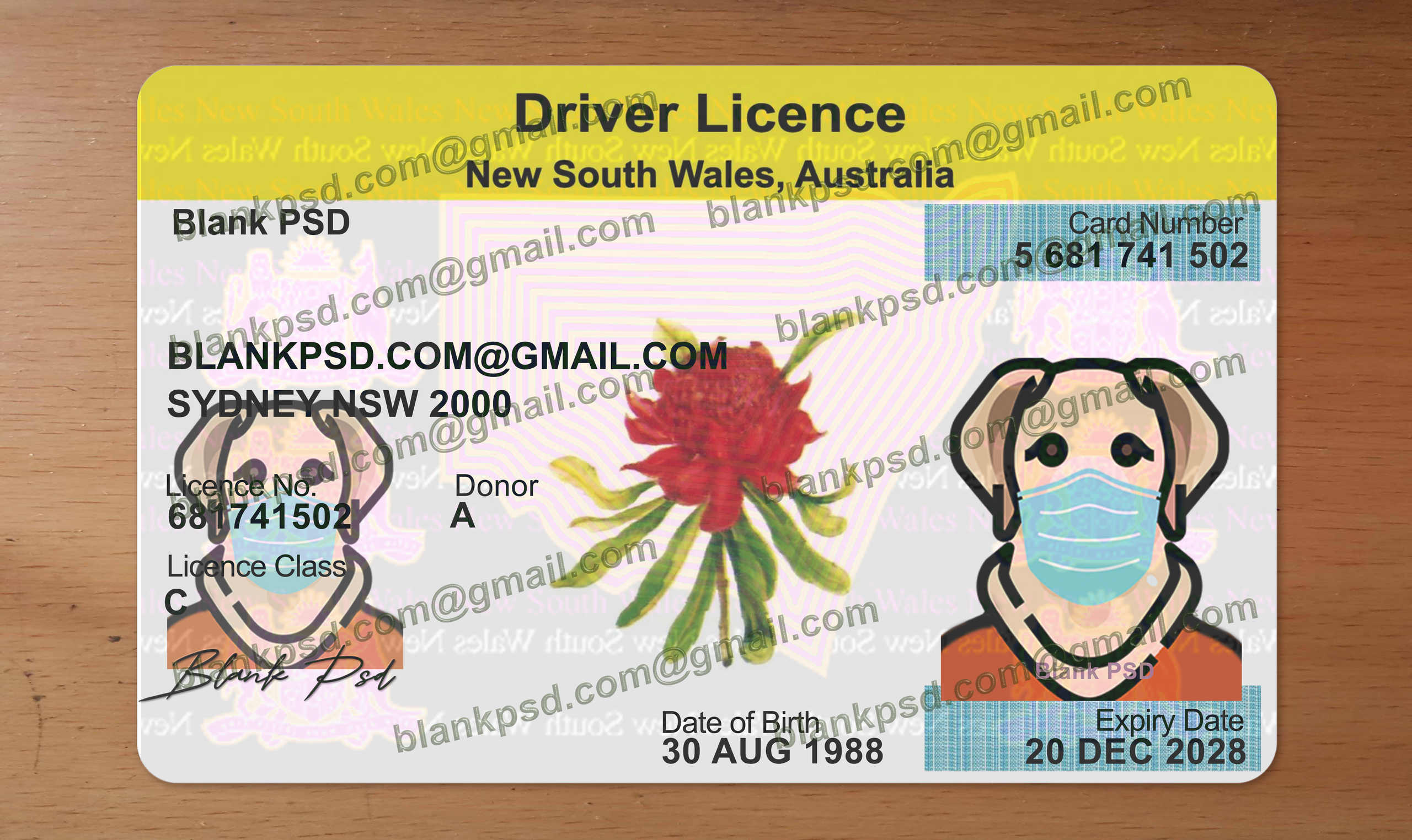 nsw drivers license template