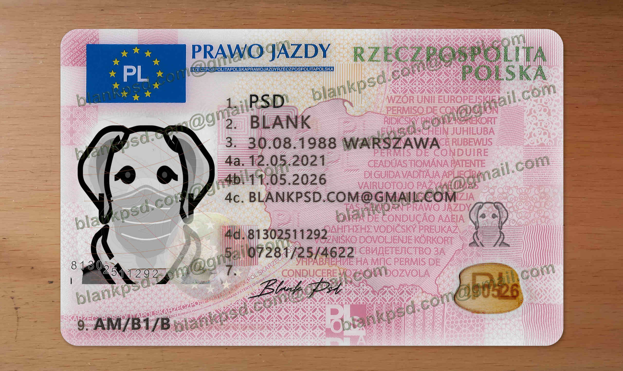 poland drivers license template