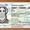 quebec drivers license psd