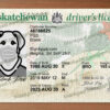 saskatchewan drivers license template