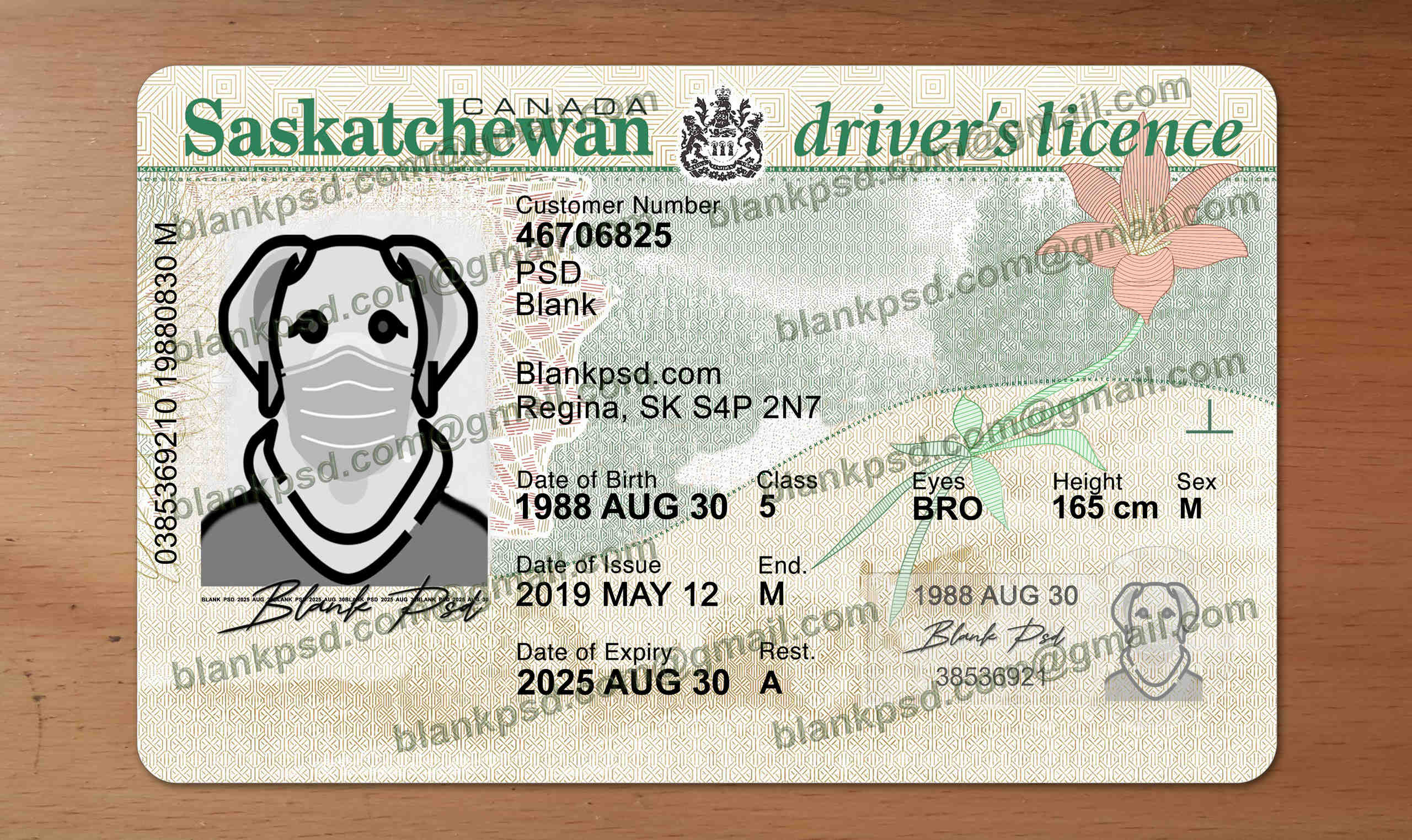 saskatchewan drivers license template