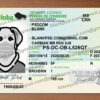 manitoba drivers license template