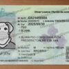 new brunswick drivers license template