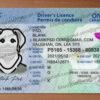 ontario drivers license template