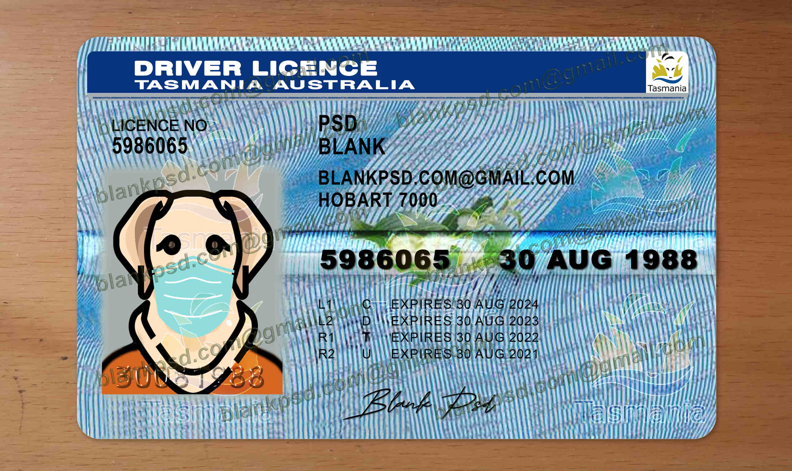 tasmania drivers license template
