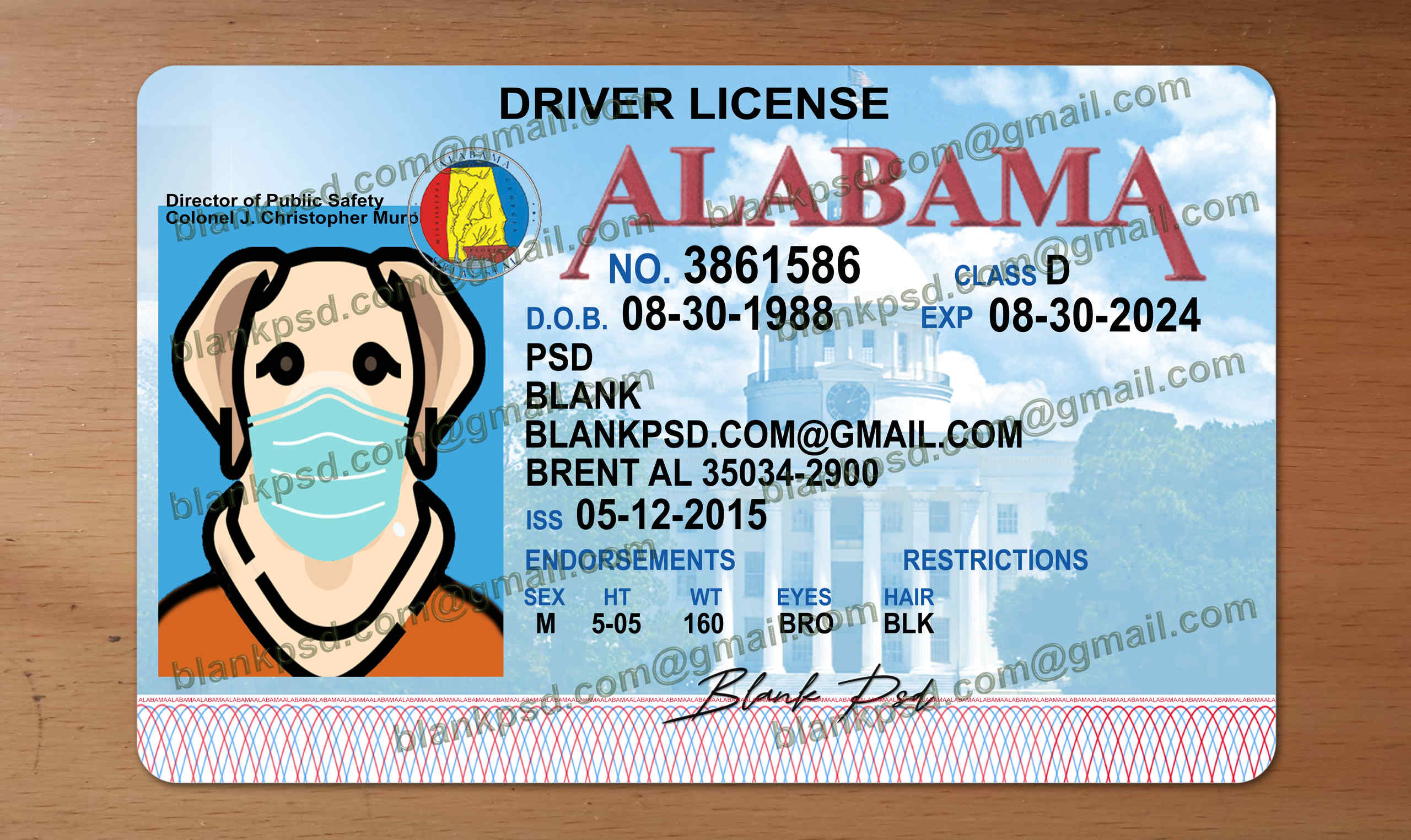 alabama drivers license template
