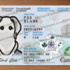 fake canada id card