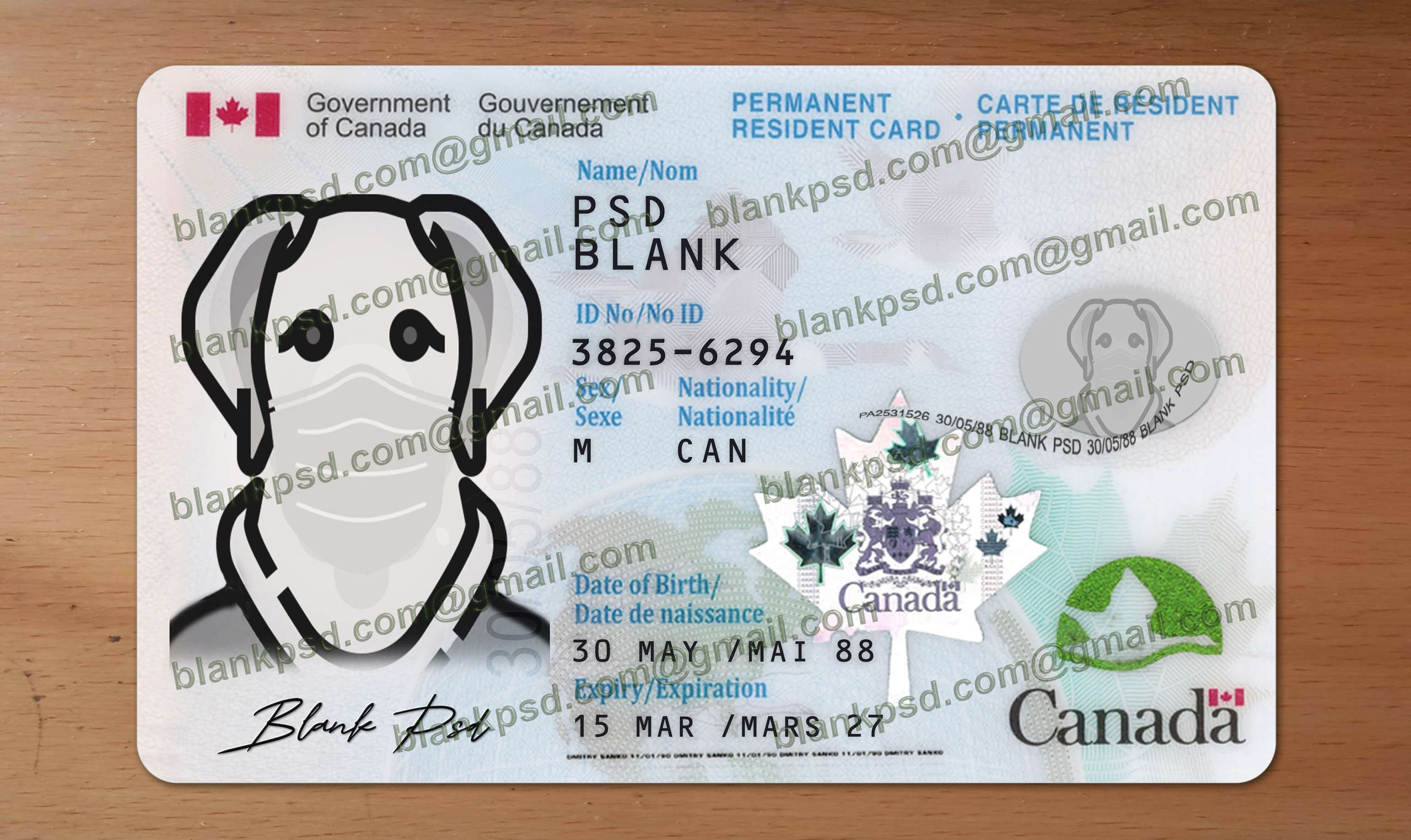 fake canada id card