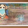 florida driver license psd