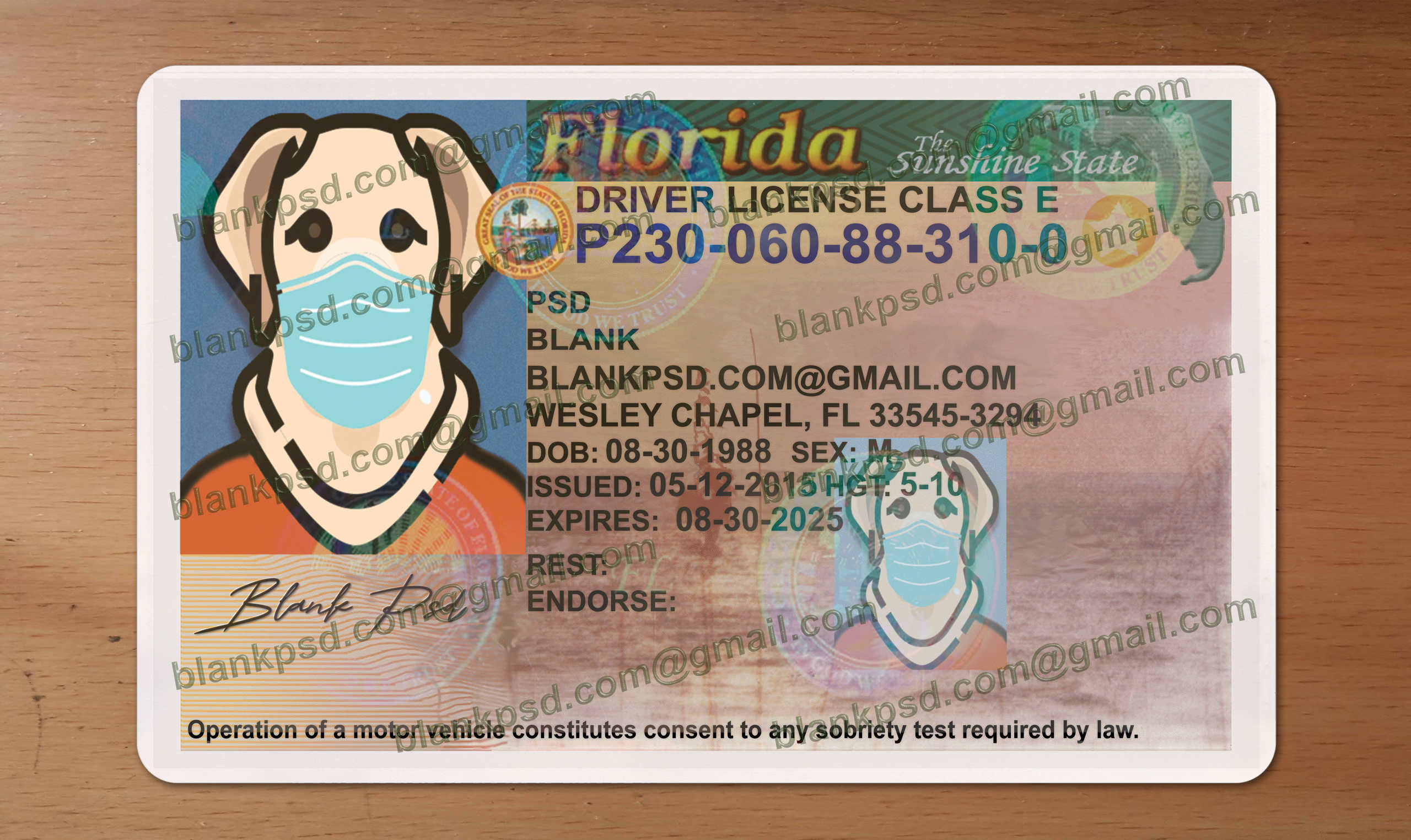 florida driver license psd