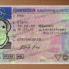 germany drivers license template