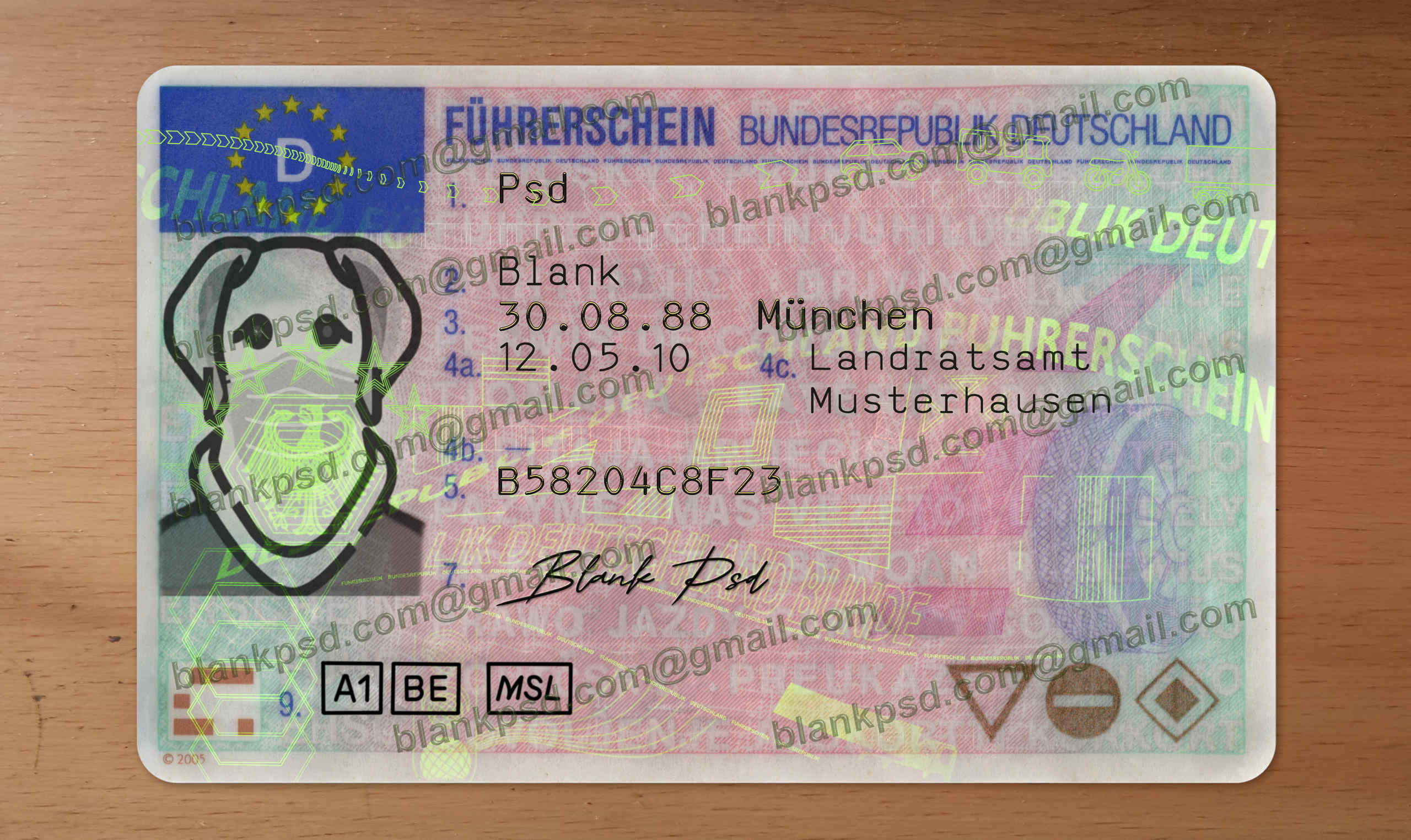 germany drivers license template