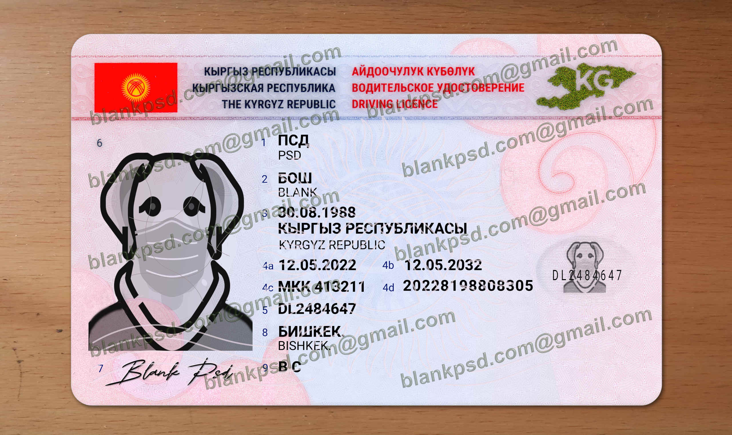 kyrgyzstan drivers license template