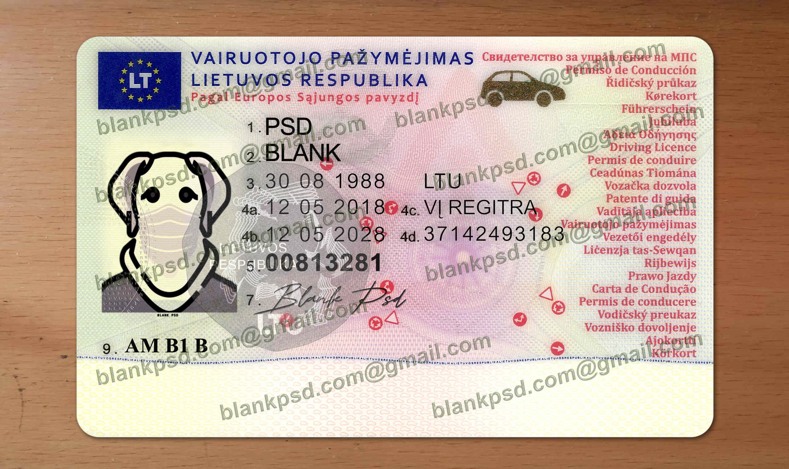 lithuania drivers license template