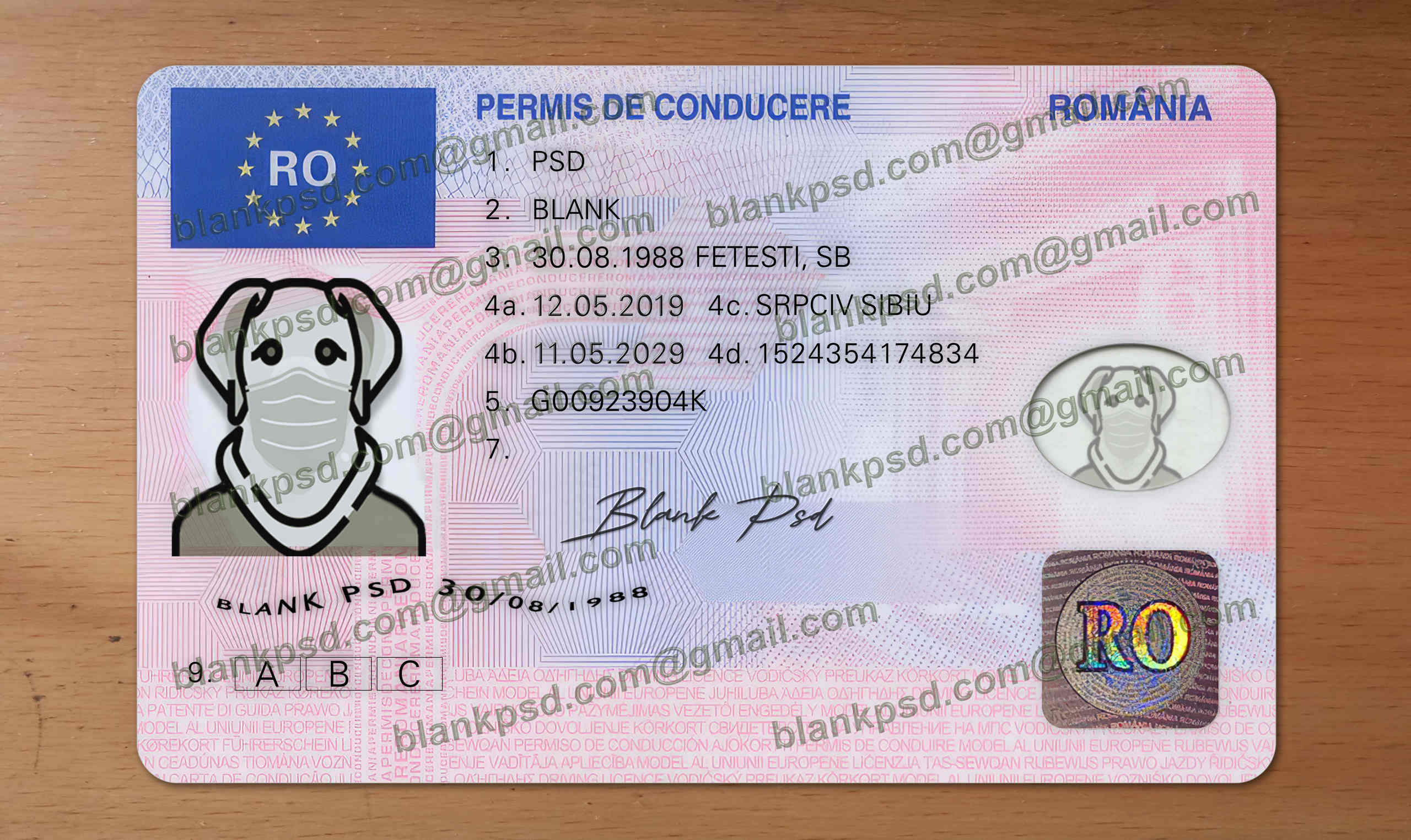 fake romanian driving licence