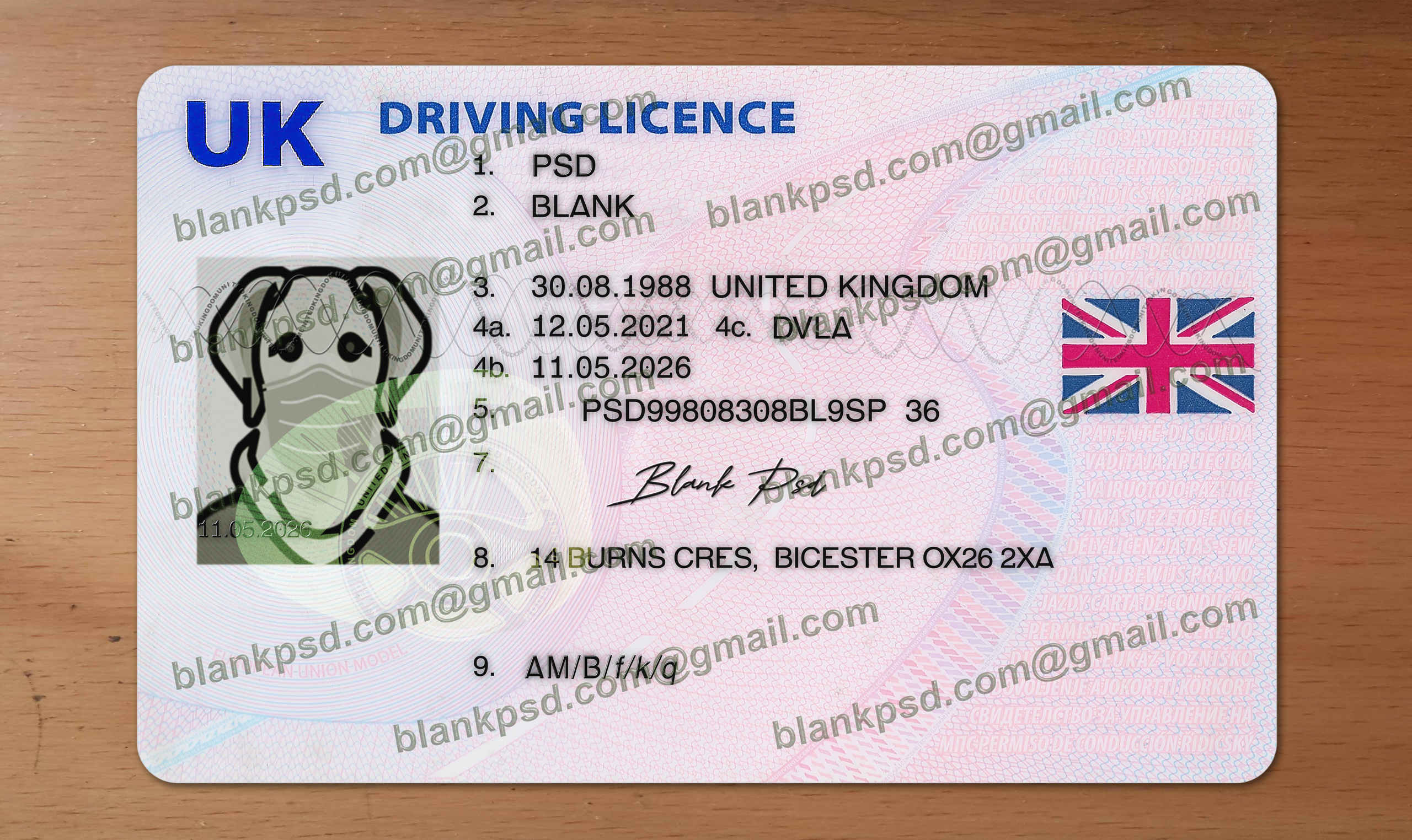 fake uk driver license