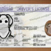 fake virginia drivers license