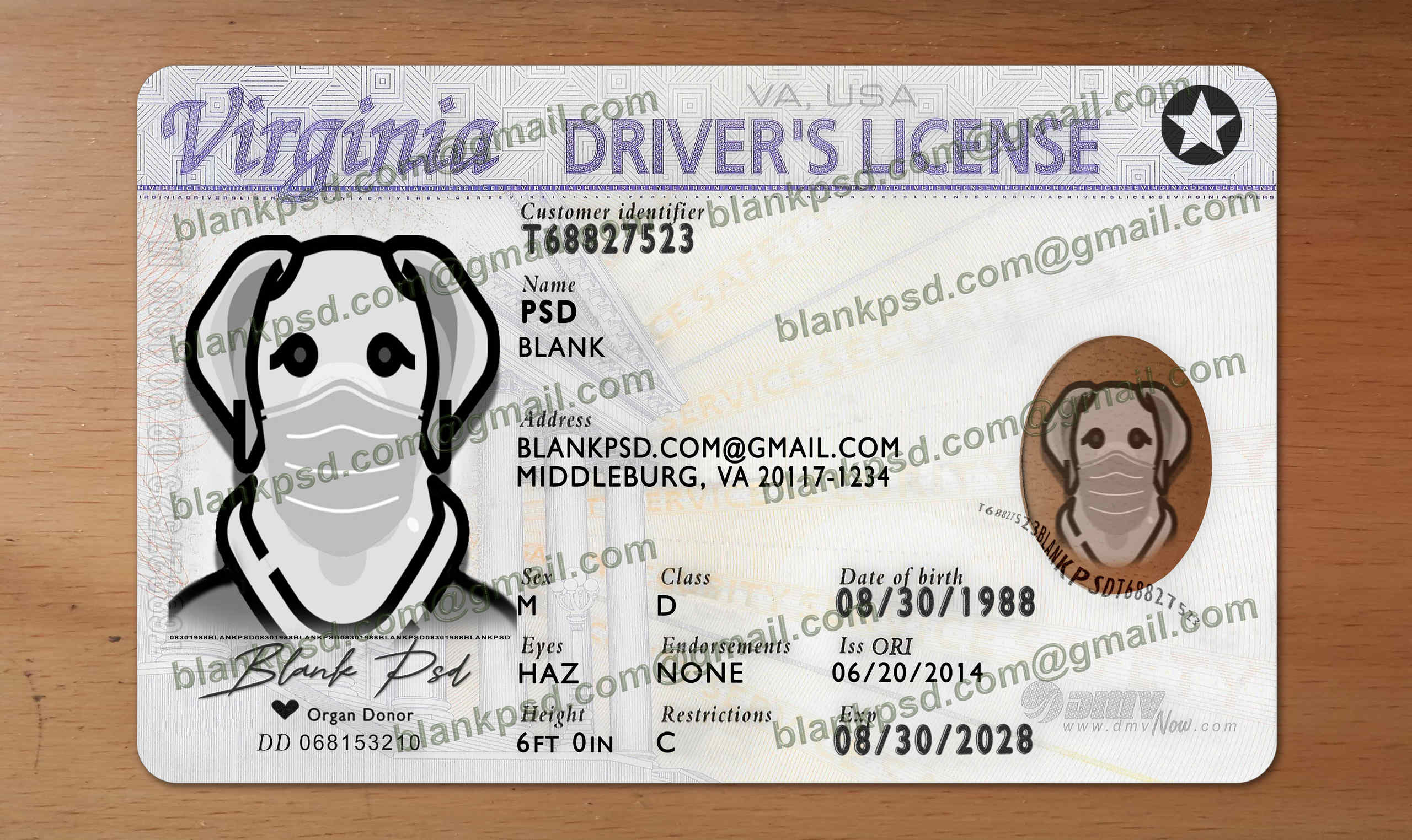 fake virginia drivers license