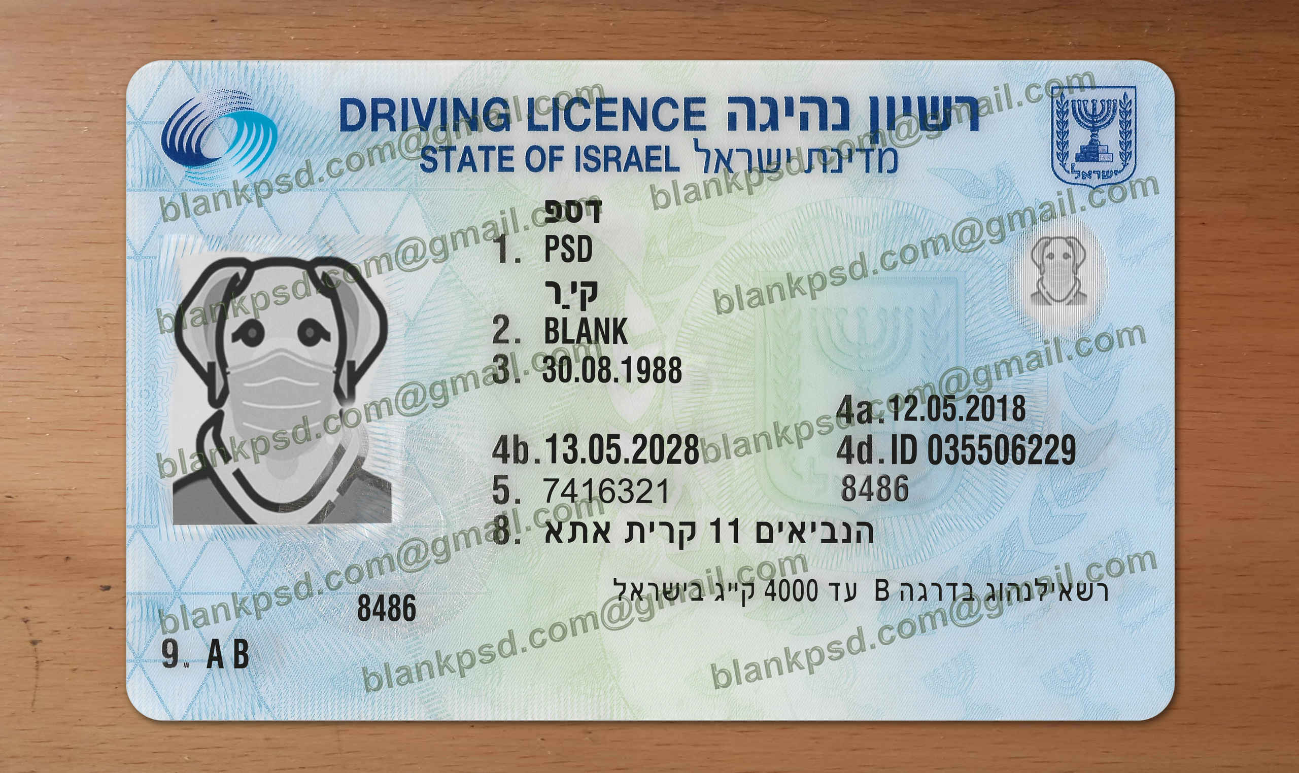 israel drivers license template
