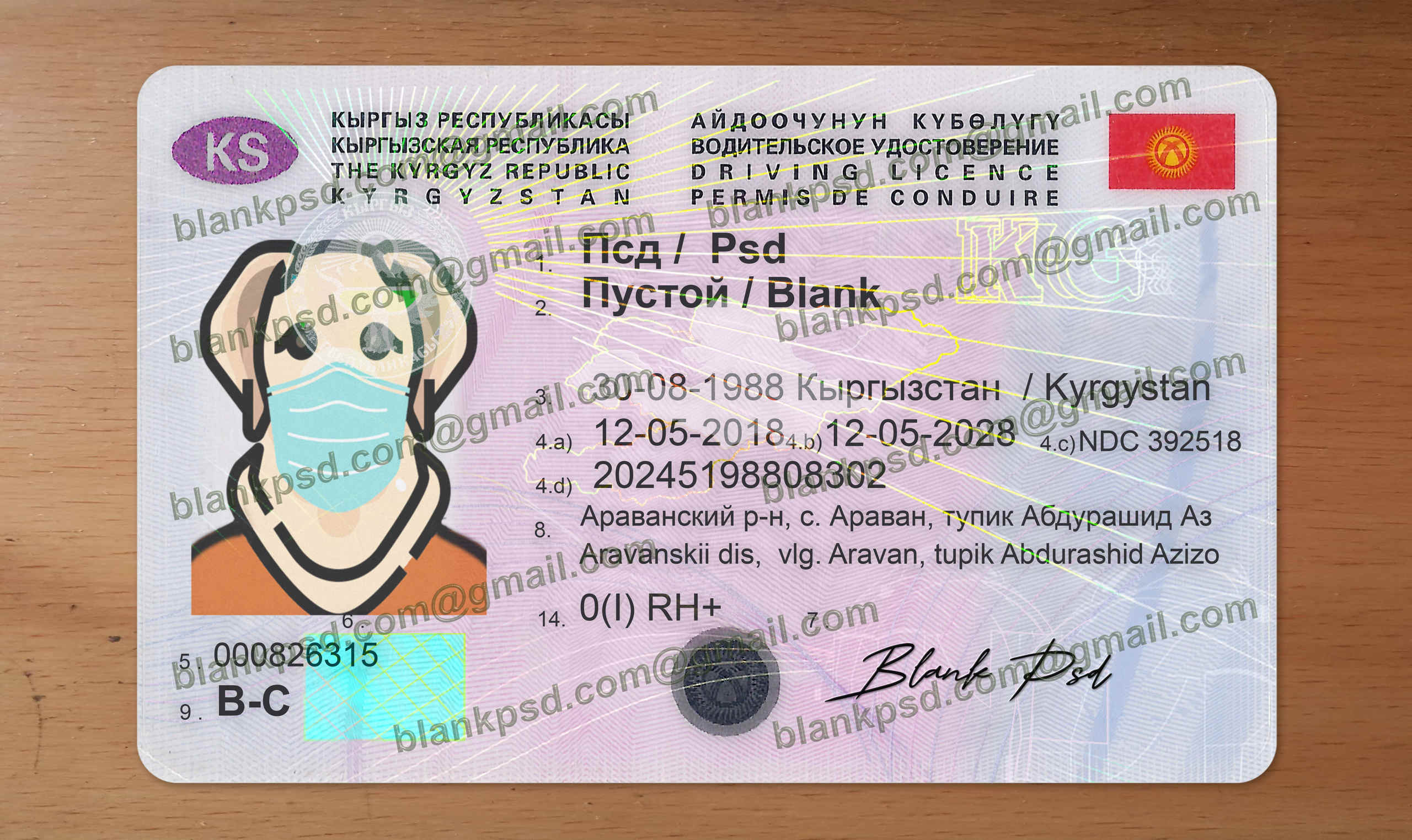 kyrgyzstan driving licence psd