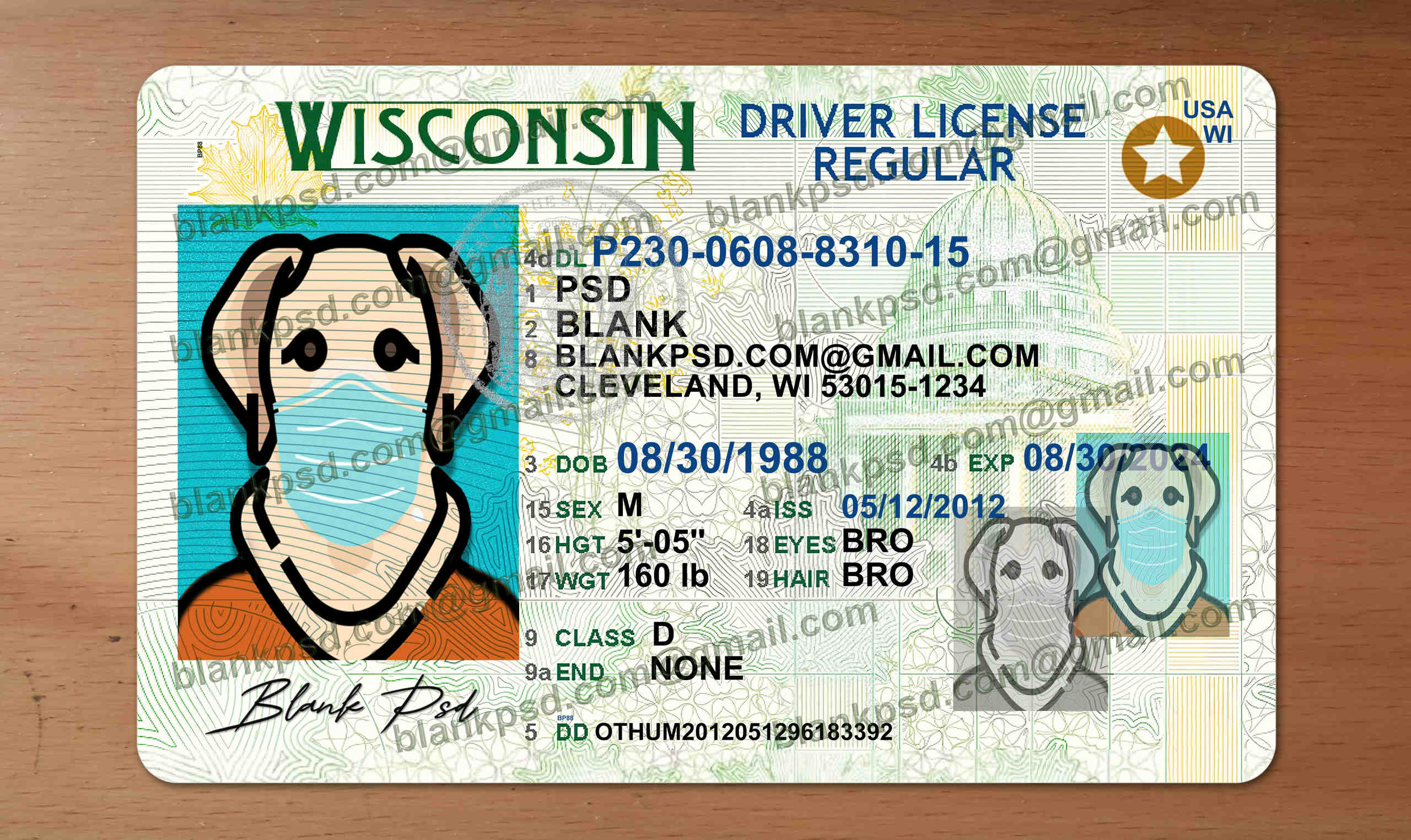 wisconsin id template