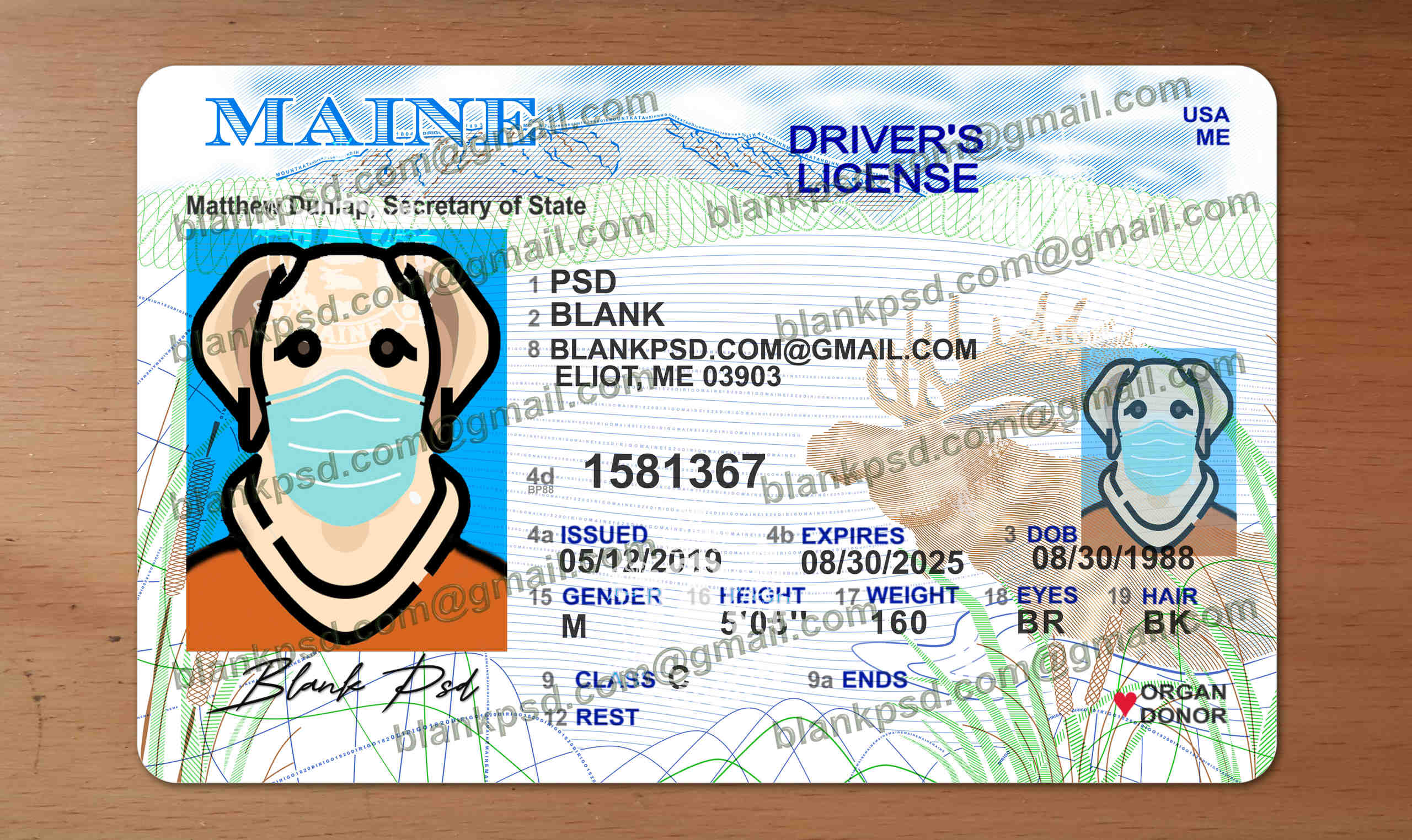 fake maine drivers license