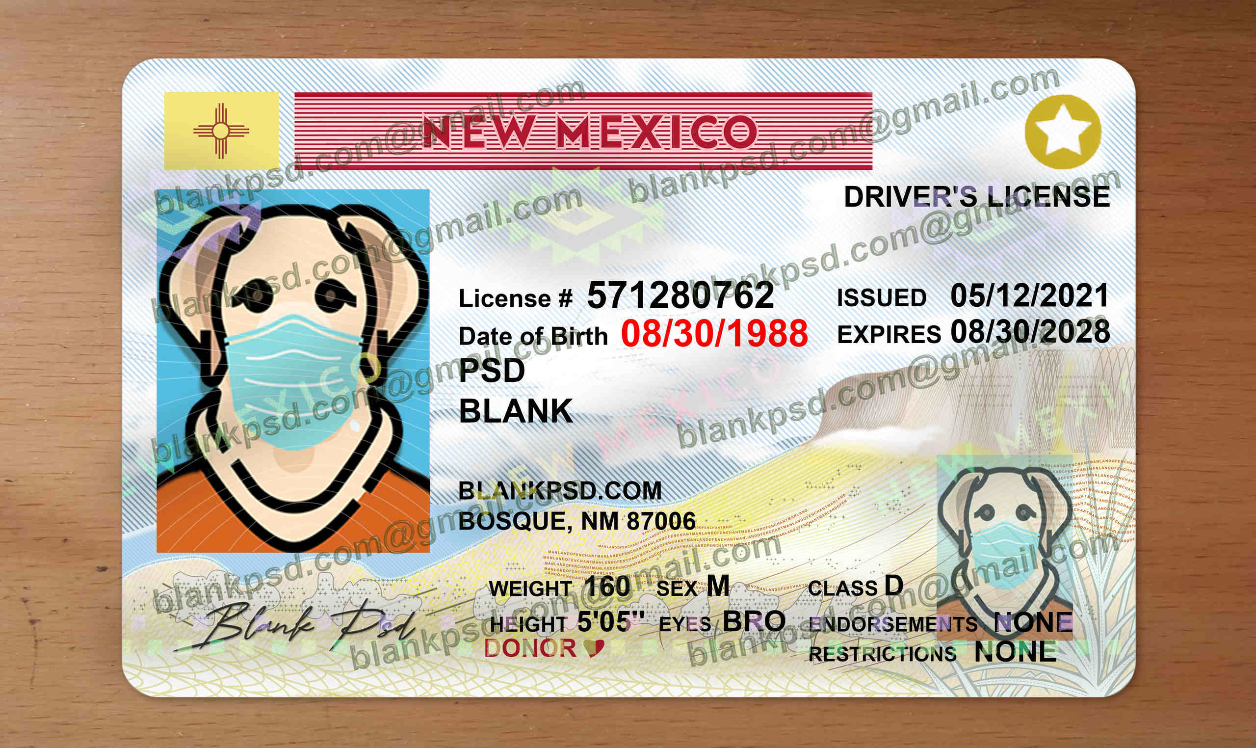 new mexico drivers license template