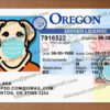 fake oregon id card