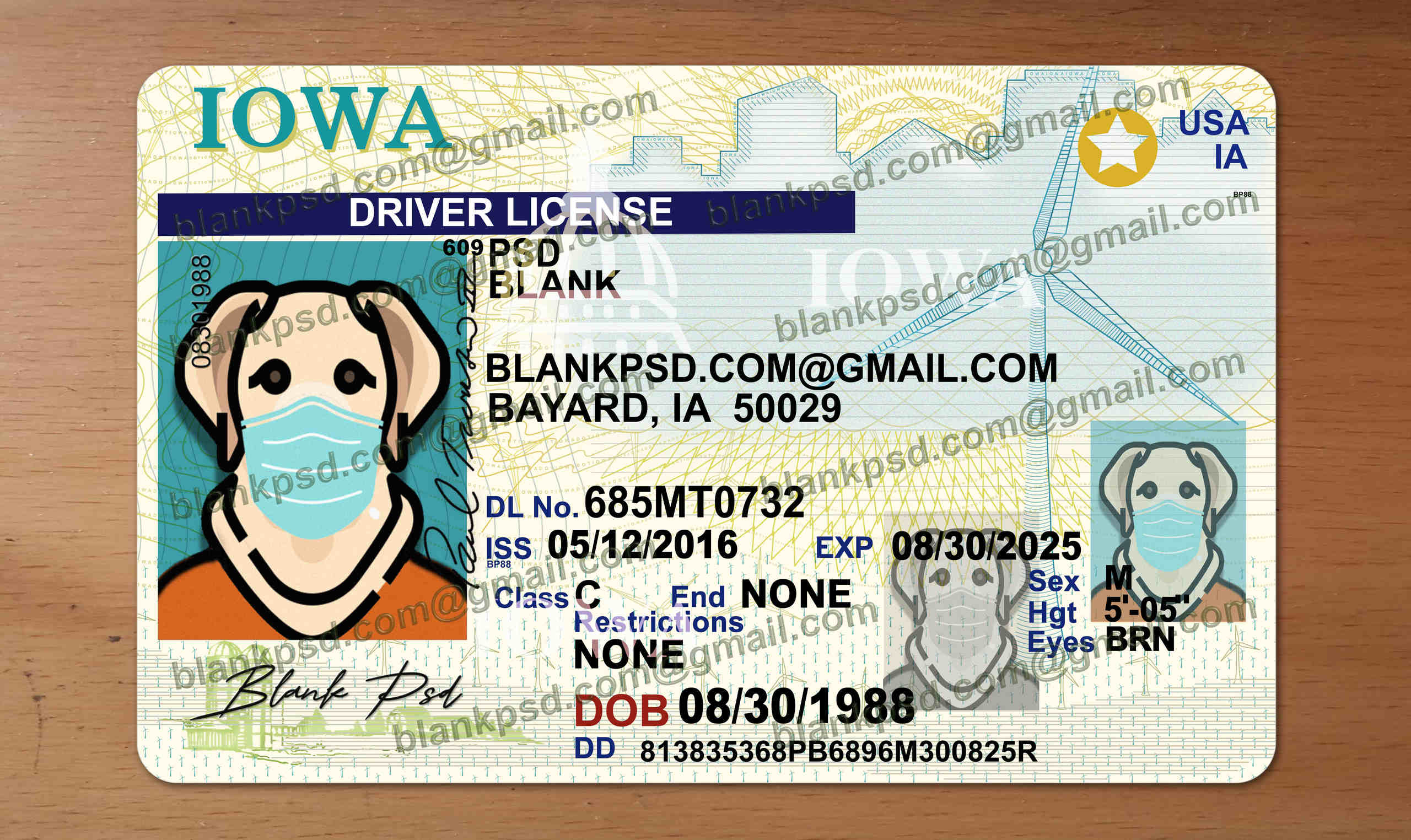 iowa drivers license template