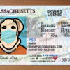 massachusetts drivers license template