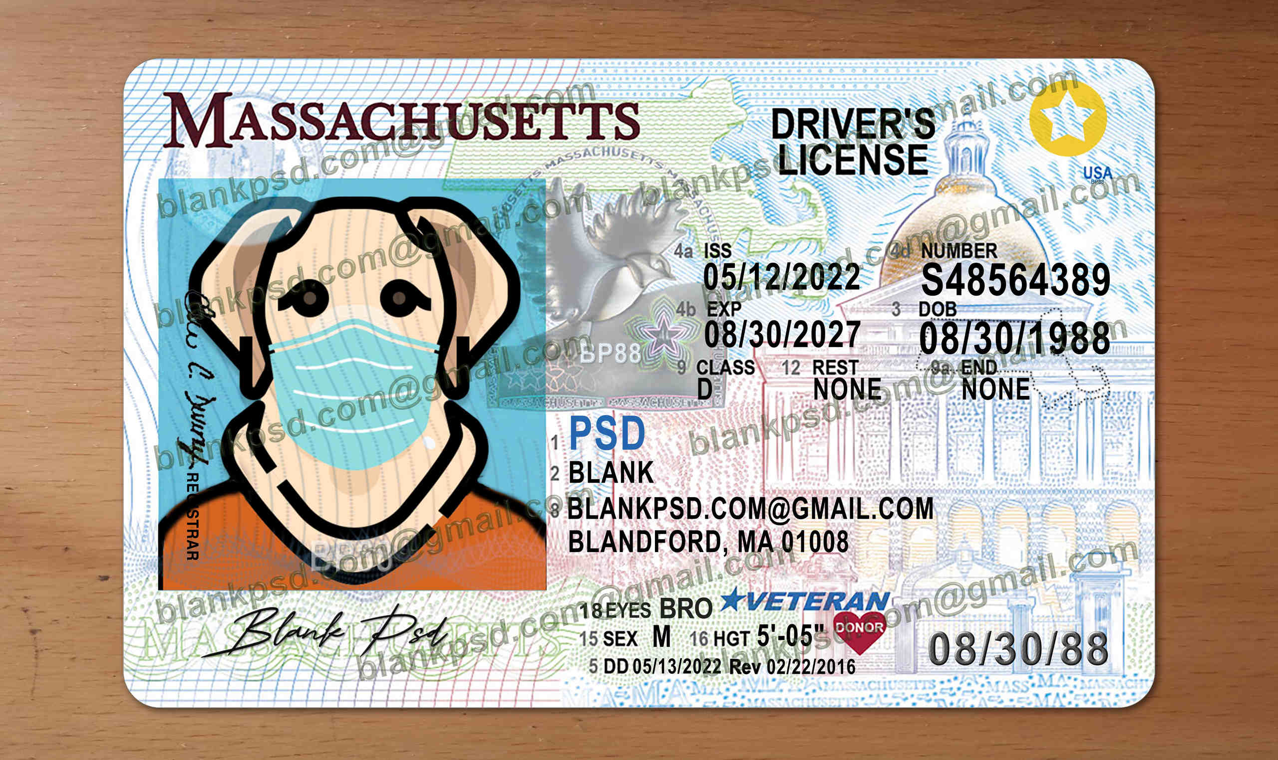 massachusetts drivers license template