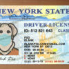 new york drivers license template