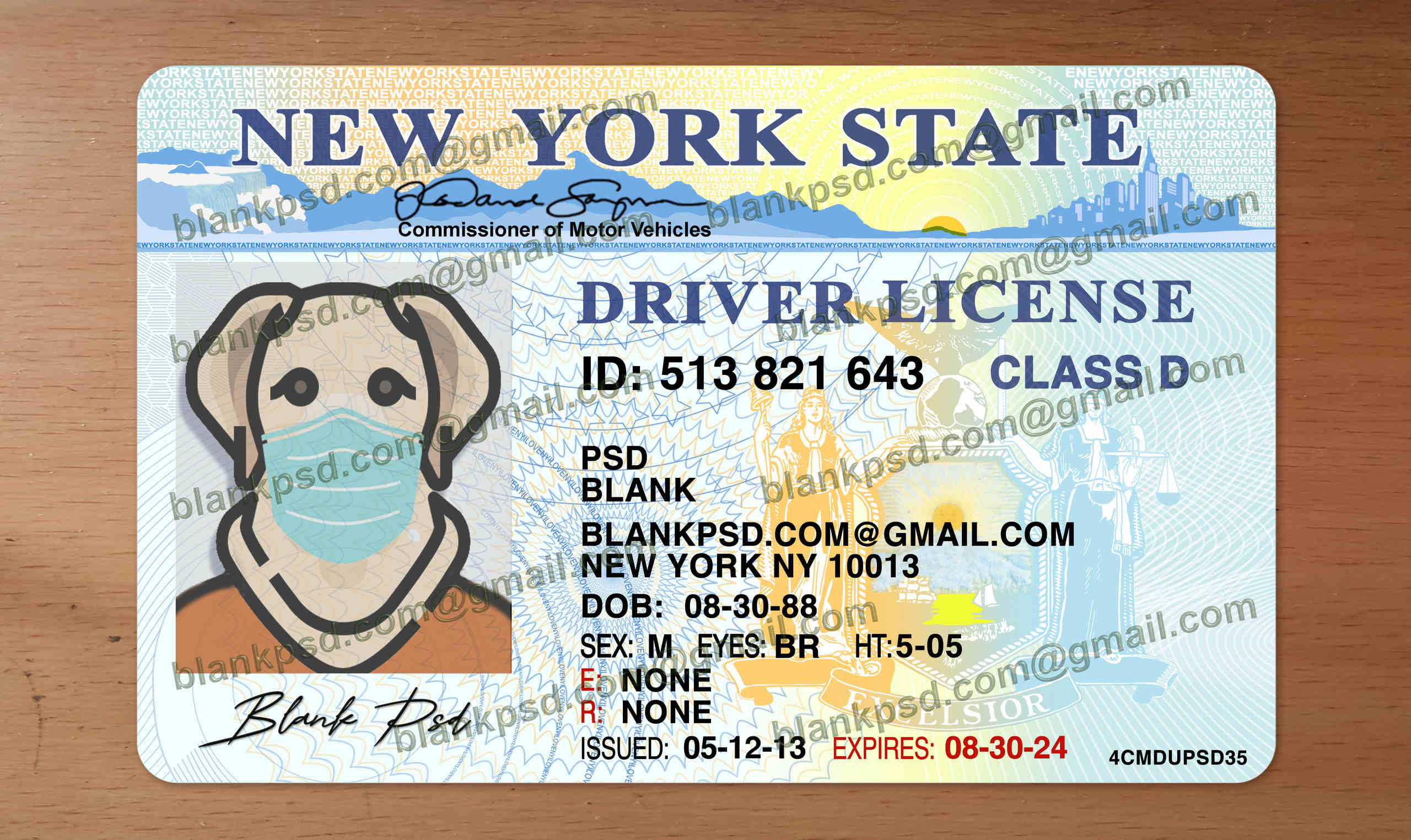 new york drivers license template