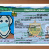 fake vermont drivers license