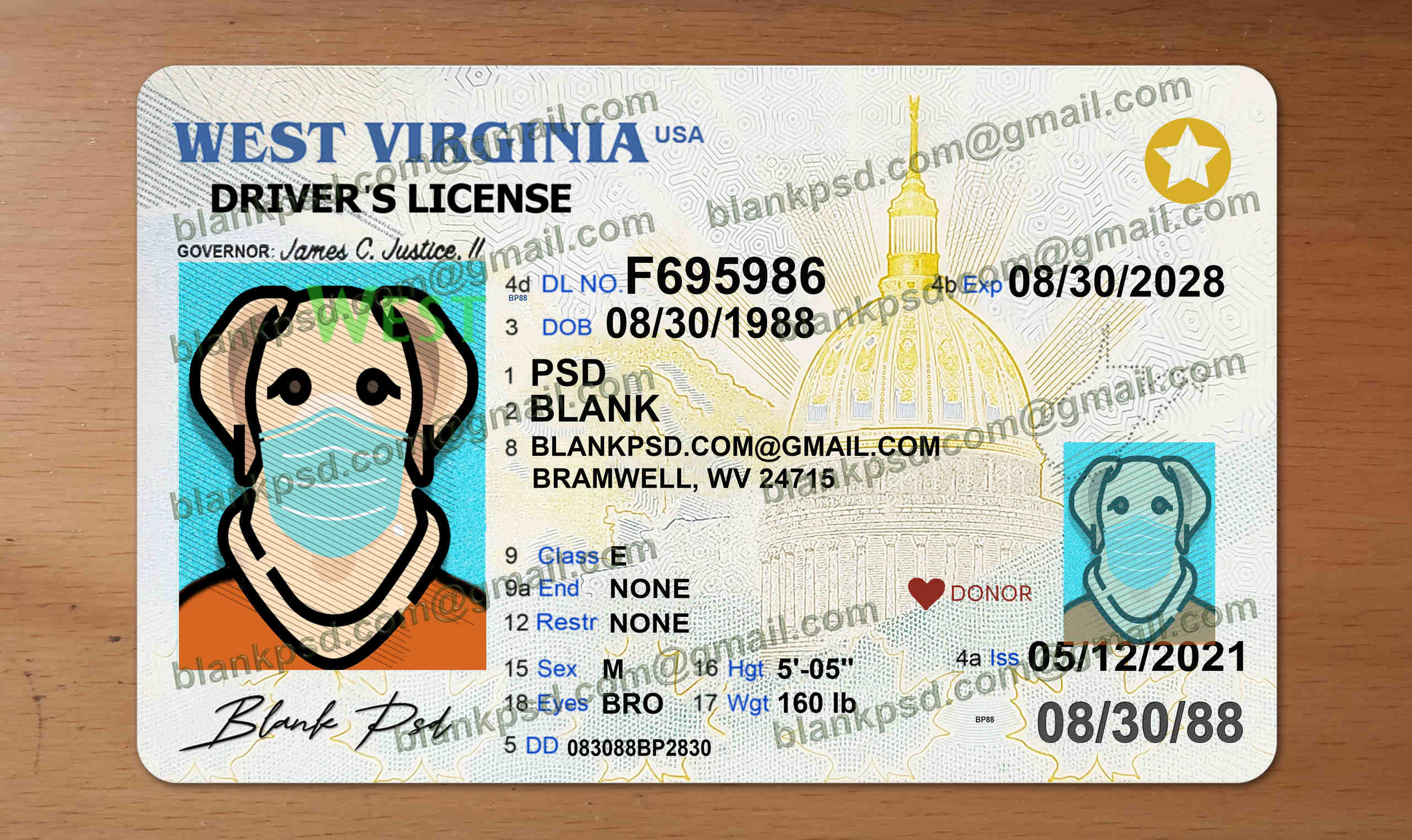 west virginia drivers license template
