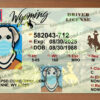 wyoming drivers license template