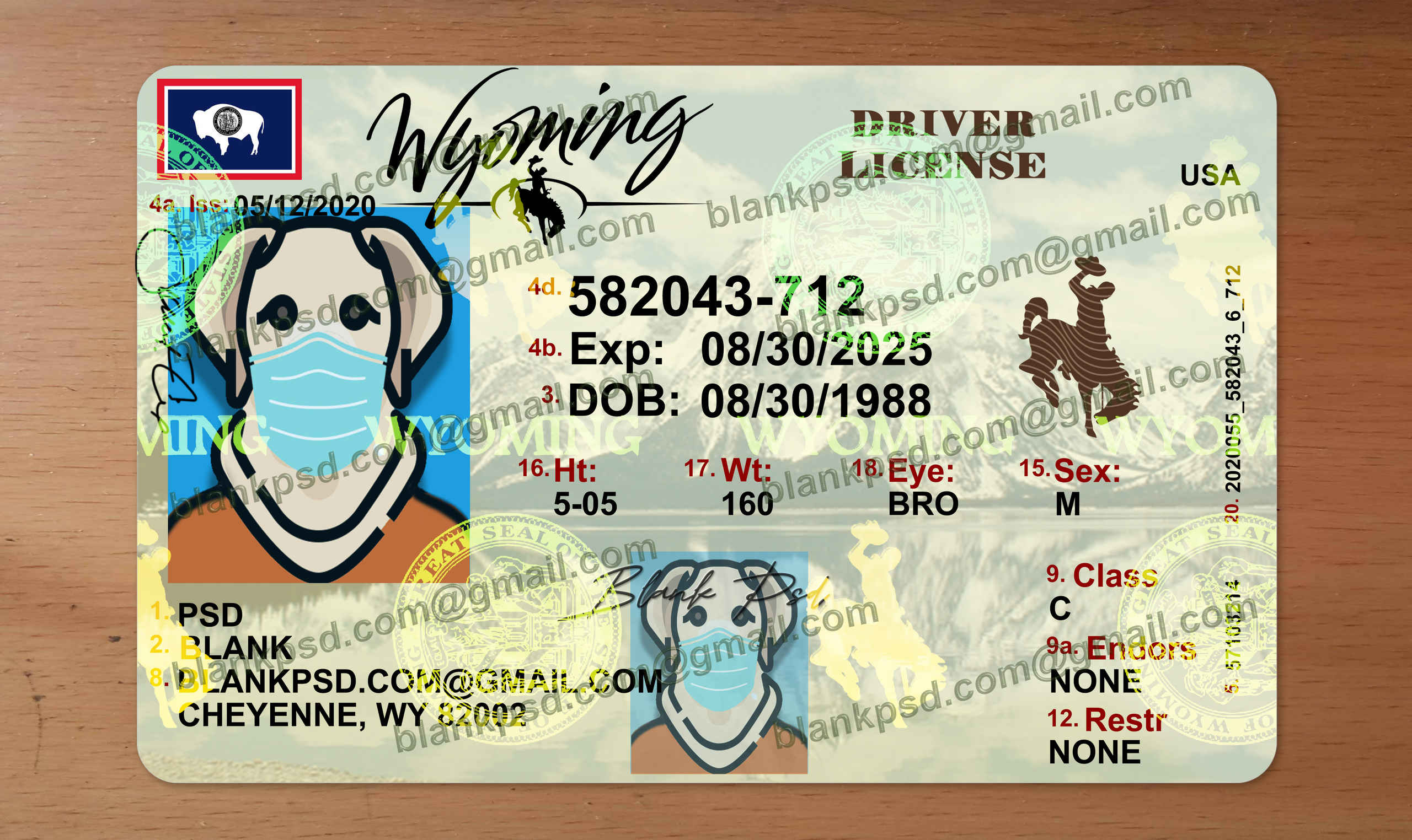 wyoming drivers license template